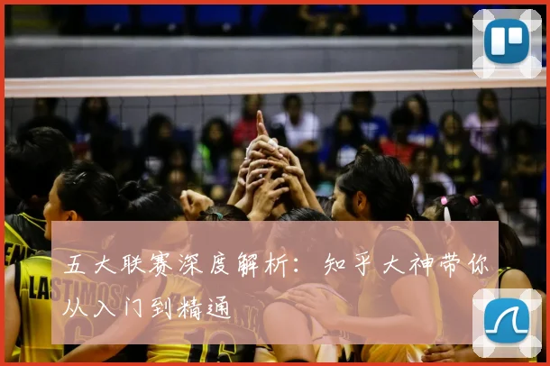 五大联赛深度解析：知乎大神带你从入门到精通