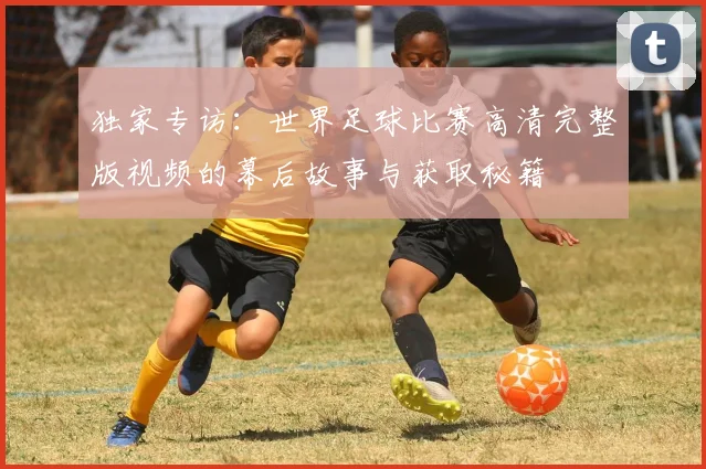 独家专访：世界足球比赛高清完整版视频的幕后故事与获取秘籍