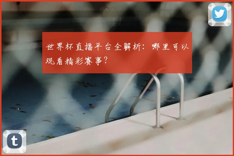世界杯直播平台全解析：哪里可以观看精彩赛事？